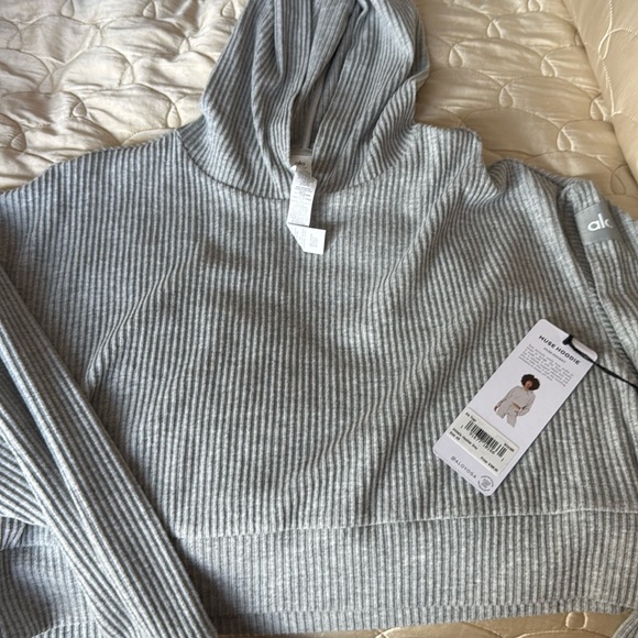 Gray Alo Muse hoodie - Picture 1 of 3